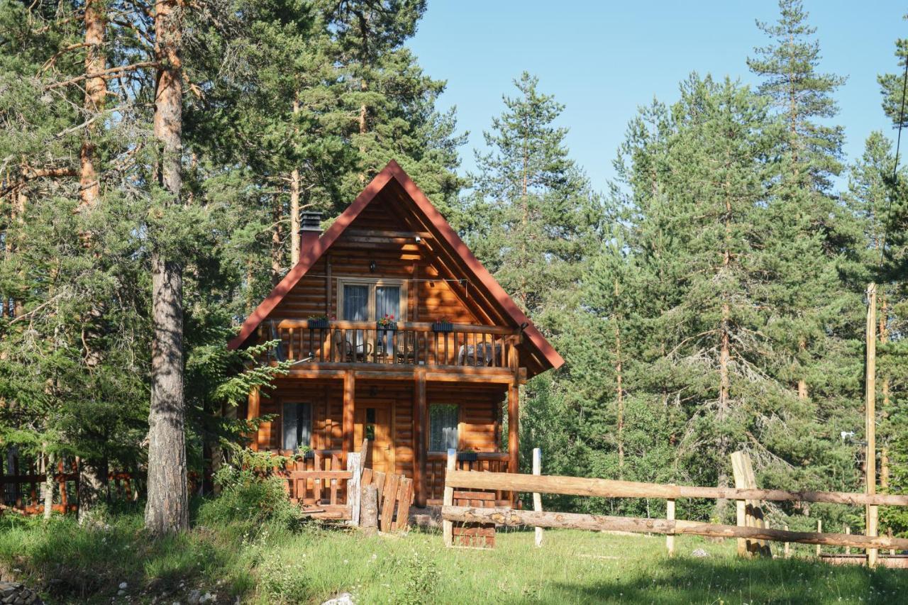 Holiday Home Aster Žabljak Dış mekan fotoğraf